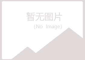 泰山区迷茫会计有限公司